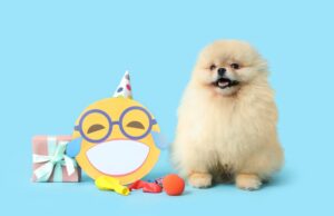 13 chistes cortos para reír en familia la risa