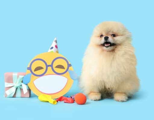 13 chistes cortos para reír en familia la risa