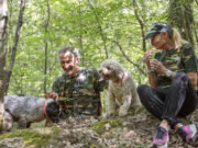¡Vamos a buscar trufas! Trufas en la Toscana