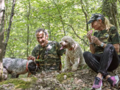 ¡Vamos a buscar trufas! Trufas en la Toscana