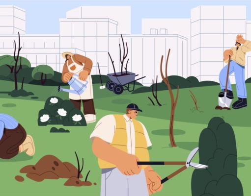 13 cosas que no sabía de la primavera Primavera