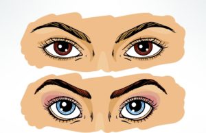 ¿Qué ayuda a reducir la presión intraocular? Presion intraocular